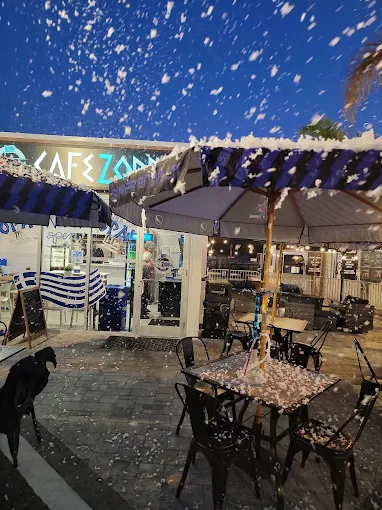 From Kitchen to Table: The Passion That Powers Cafe Zorba
